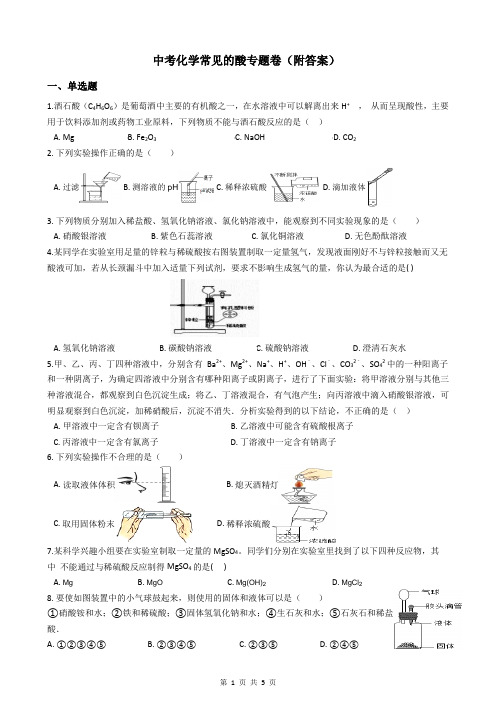 中考化学常见的酸专题卷(附答案)