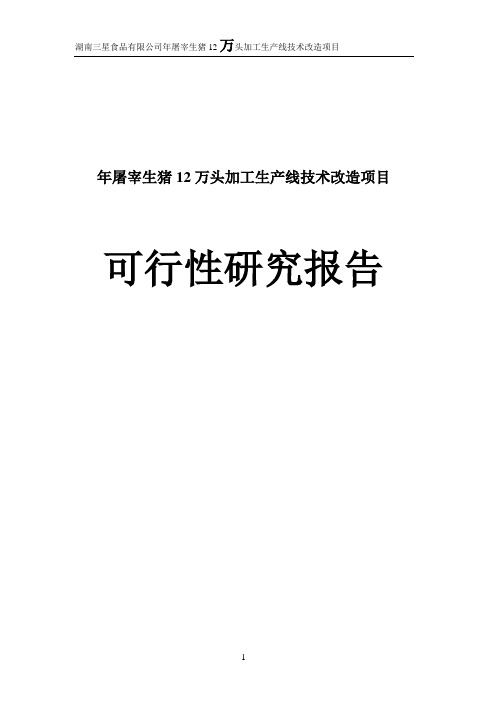 年屠宰生猪12万头加工生产线技术改造项目可行性研究报告