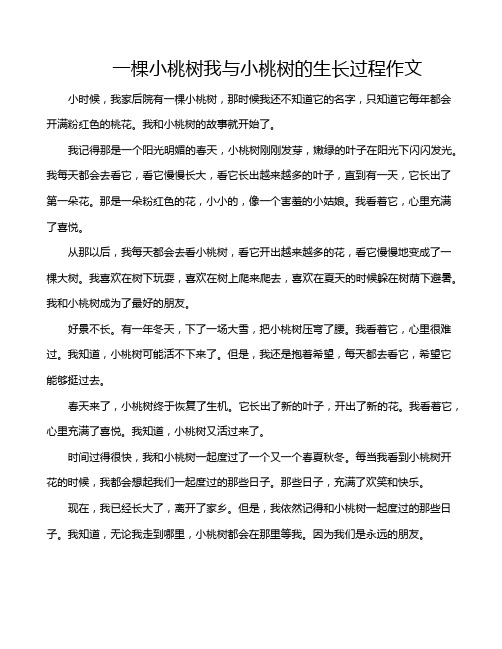 一棵小桃树我与小桃树的生长过程作文