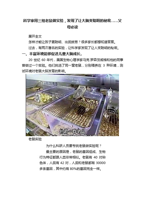 科学家用三组老鼠做实验，发现了让大脑变聪明的秘密……父母必读