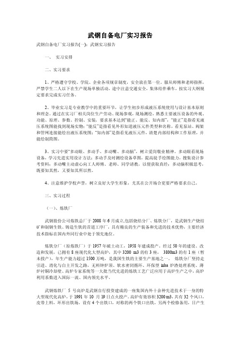 武钢自备电厂实习报告