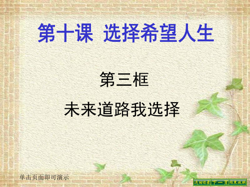 九年级政治全册10.3 未来道路我选择 (共21张PPT)