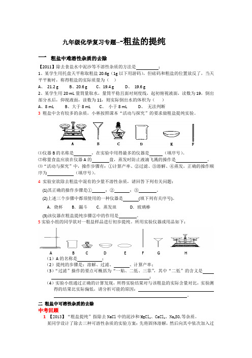 九年级化学复习专题-- 粗盐的提纯