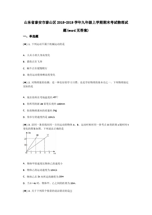 山东省泰安市泰山区2018-2019学年九年级上学期期末考试物理试题(word无答案)