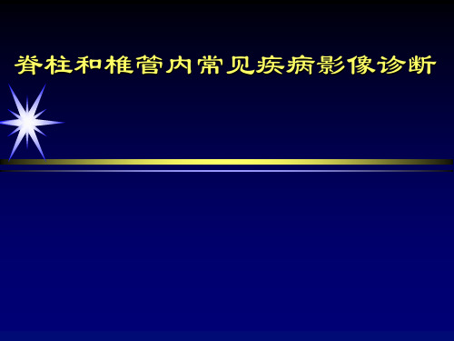 脊柱病变精品PPT课件