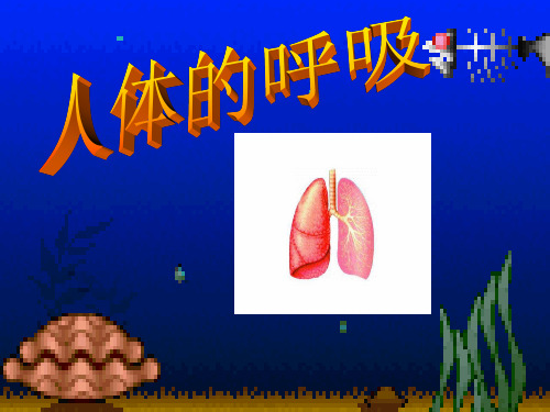 七年级生物第3章人体的呼吸复习课件(人教版七年级下)