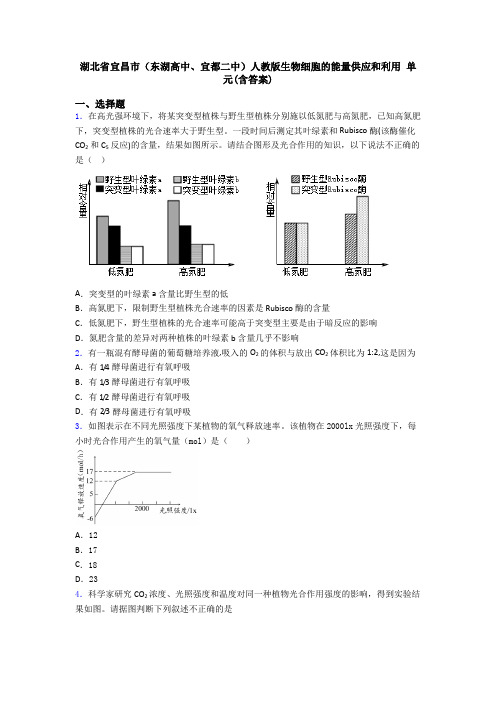 湖北省宜昌市(东湖高中、宜都二中)人教版生物细胞的能量供应和利用 单元(含答案)