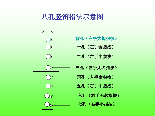 八孔竖笛指法