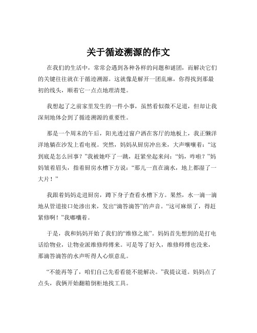 关于循迹溯源的作文