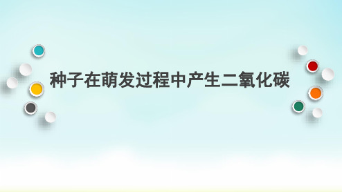 人教版七年级上册生物绿色植物的呼吸作用——种子在萌发过程中产生二氧化碳说课课件