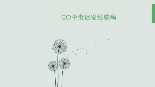 CO中毒迟发性脑病.pptx