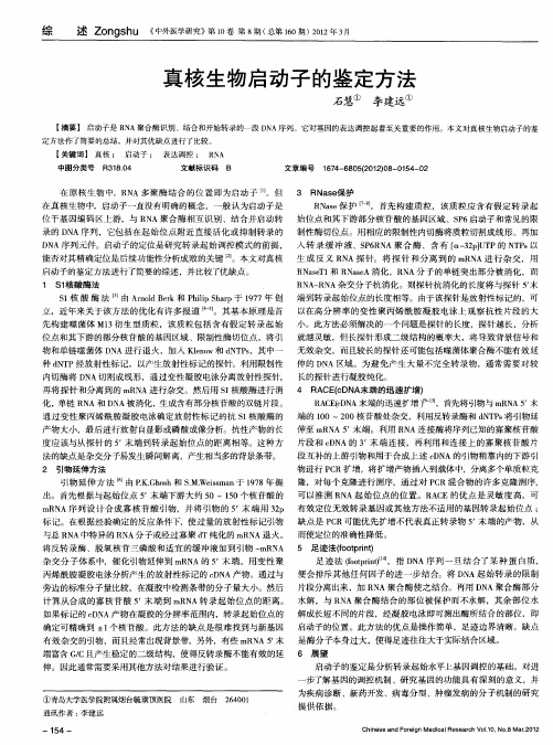 真核生物启动子的鉴定方法