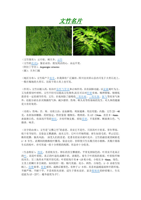 植物名片