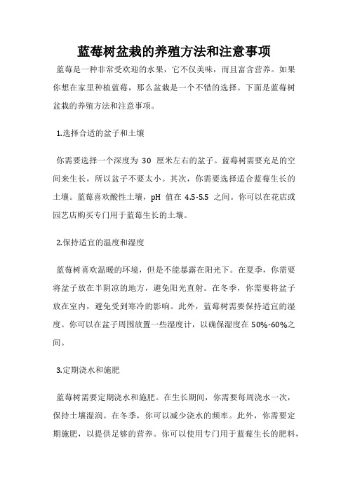 蓝莓树盆栽的养殖方法和注意事项