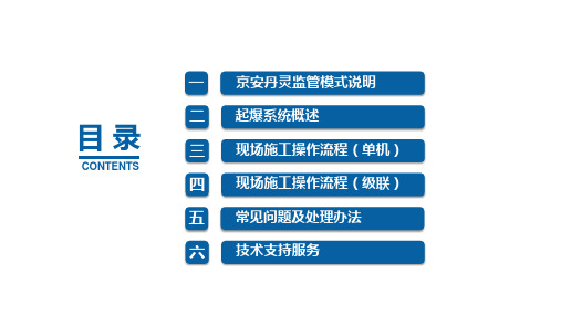 三19A小黄蜂起爆器简介