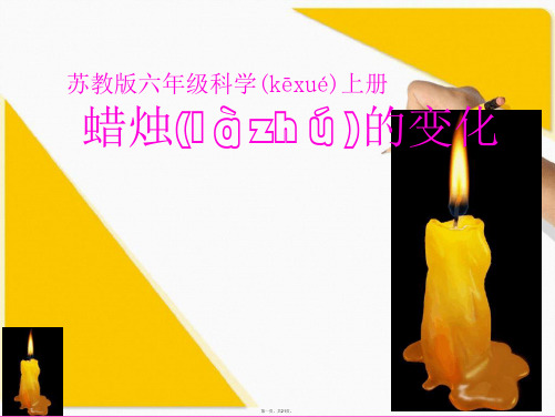 六年级上册科学课件31 蜡烛的变化|苏教版 共21张 1