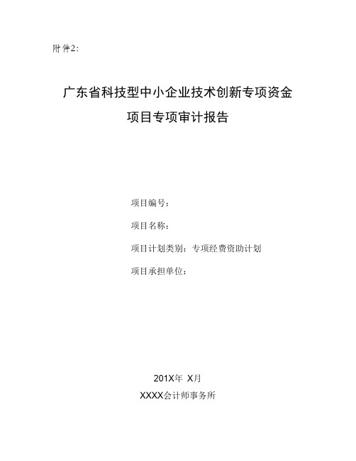 广东省科技型中小企业技术创新专项资金项目专项审计报告参考样式(2015版)