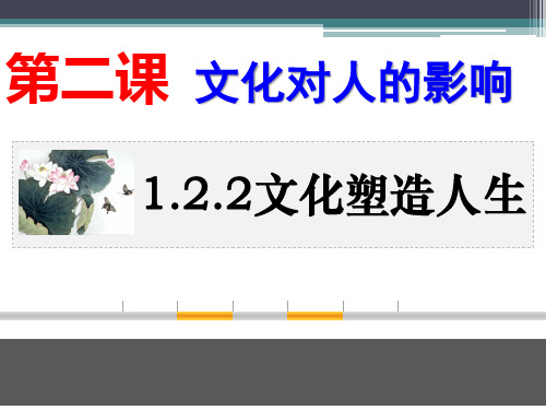 人教高中政治必修三2.2文化塑造人生