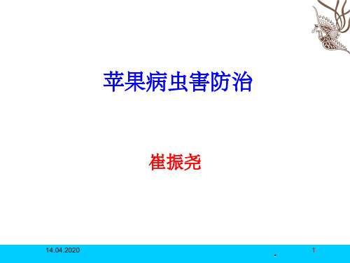 苹果主要病虫害防治