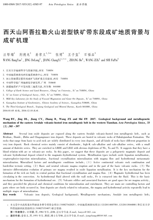 西天山阿吾拉勒火山岩型铁矿带东段成矿地质背景与成矿机理
