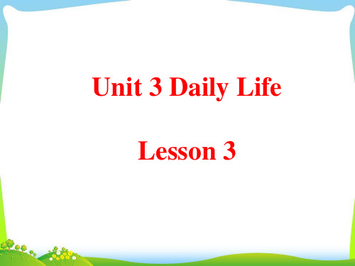 英语六年级下人教新起点Unit 3 Daily Life Lesson 3 课件(张)