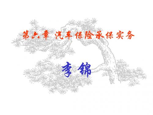 第六章 汽车保险承保实务