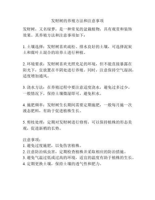 发财树的养殖方法和注意事项