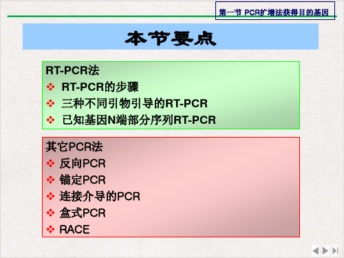 目的基因克隆基因工程原理与技术刘志国课件ppt