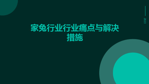 家兔行业行业痛点与解决措施ppt