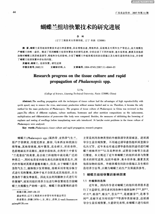 蝴蝶兰组培快繁技术的研究进展
