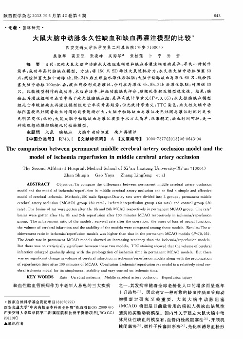 大鼠大脑中动脉永久性缺血和缺血再灌注模型的比较