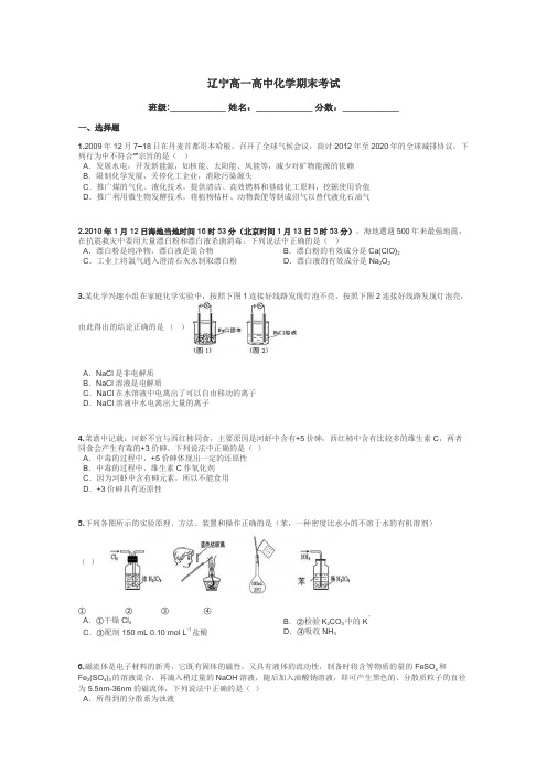 辽宁高一高中化学期末考试带答案解析
