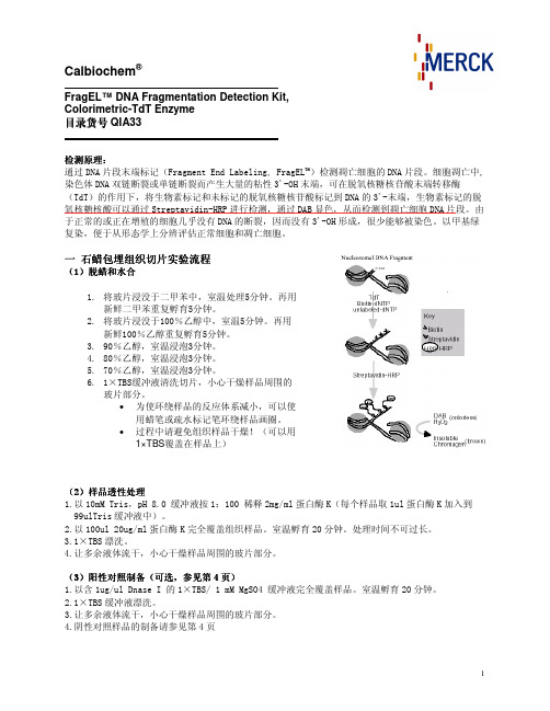 QIA33+TUNEL显色法细胞凋亡检测试剂盒使用说明书_Merck