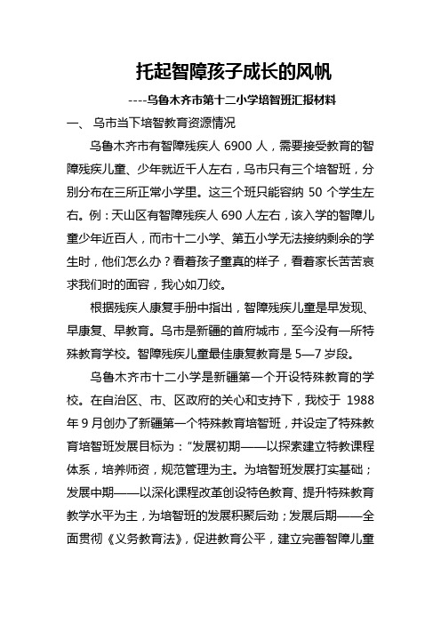 托起智障孩子成长的风帆