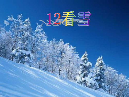 12《看雪》PPT课件