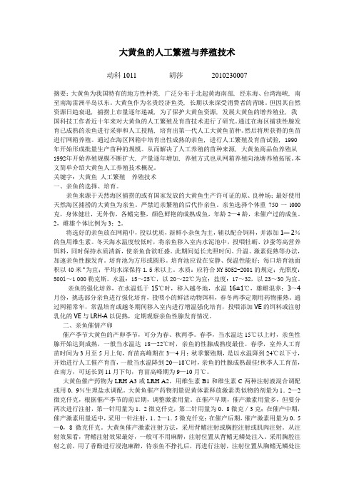 大黄鱼的人工繁殖与养殖技术