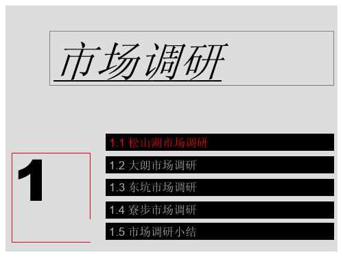 2009东莞松山湖市场调研及客户购买力分析51p