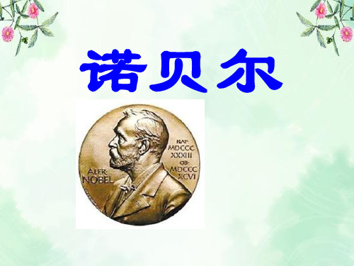 《诺贝尔》PPT课件4 图文