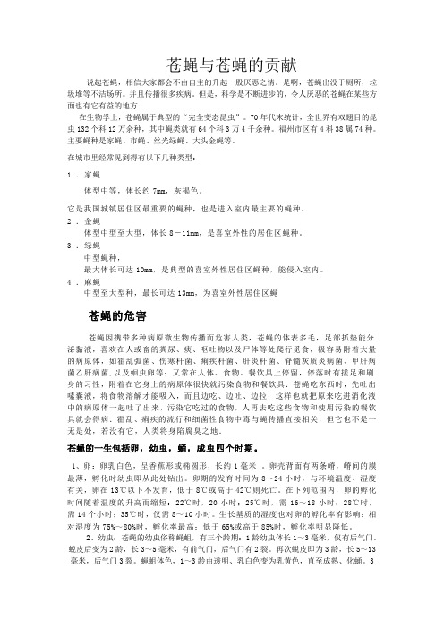 关于苍蝇