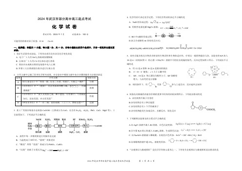 2024年湖北省武汉市硚口区高三起点考试七月质量检测化学试卷