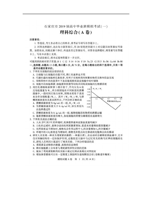 河北省石家庄市2019届高三一模考试理综试卷(扫描版)