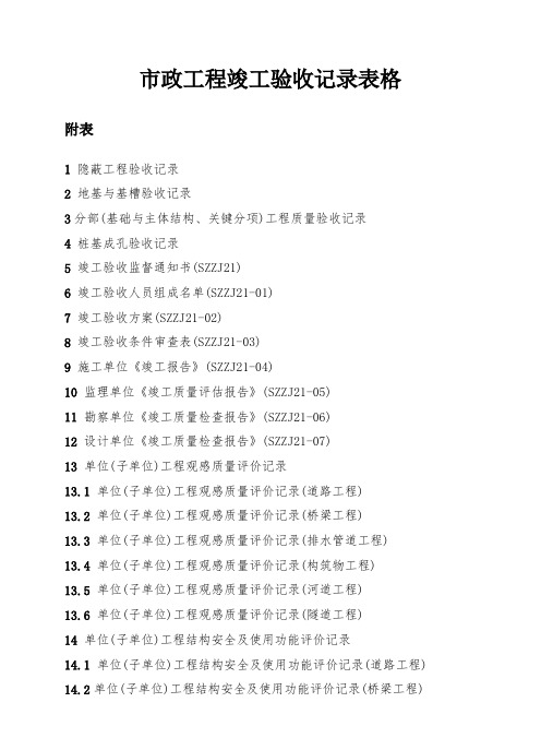 市政工程竣工验收记录表格范本