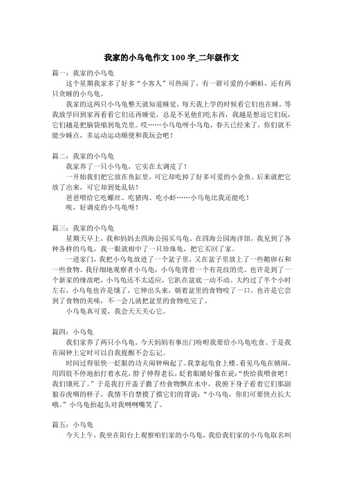 我家的小乌龟作文100字_二年级作文