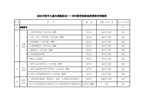 20万经费使用明细表