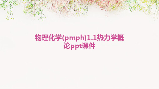 物理化学(pmph)1.1热力学概论PPT课件