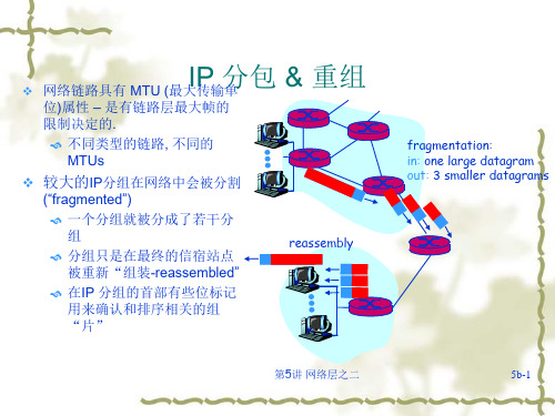 IP数据报格式