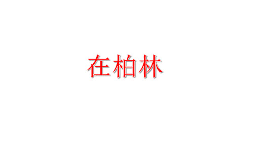 人教统编版六年级上册语文第14课 在柏林课件