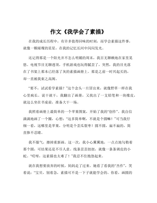 作文《我学会了素描》