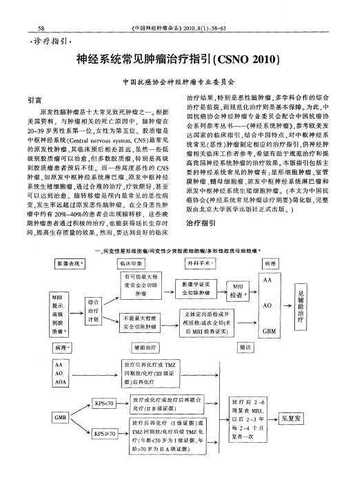 神经系统常见肿瘤治疗指引(CSNO 2010)