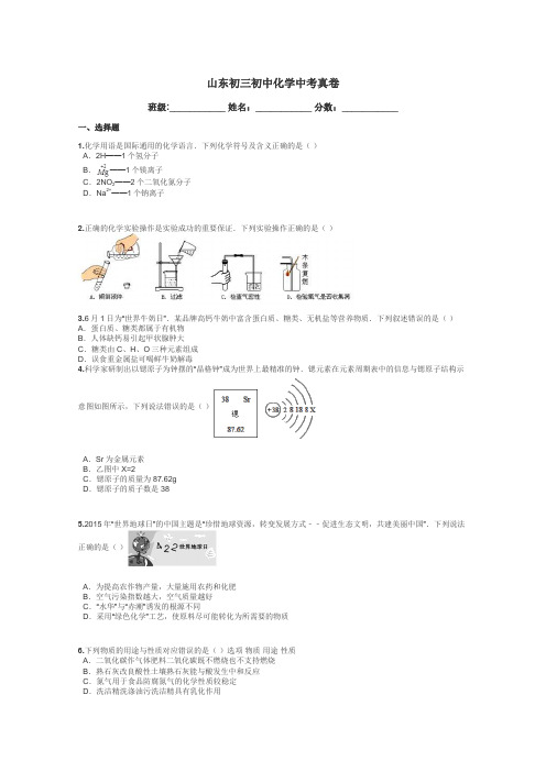 山东初三初中化学中考真卷带答案解析
